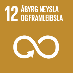 Ábyrg neysla og framleiðsla