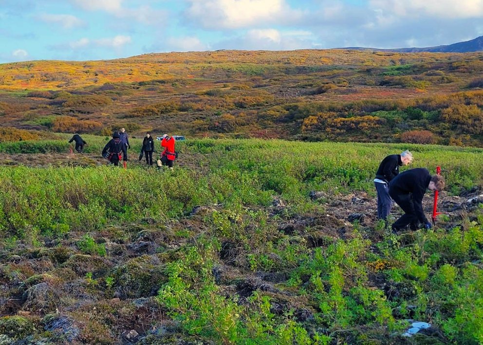 Merkum áfanga var náð á dögunum þegar starfsfólk Hölds gróðursetti tré númer 40.000