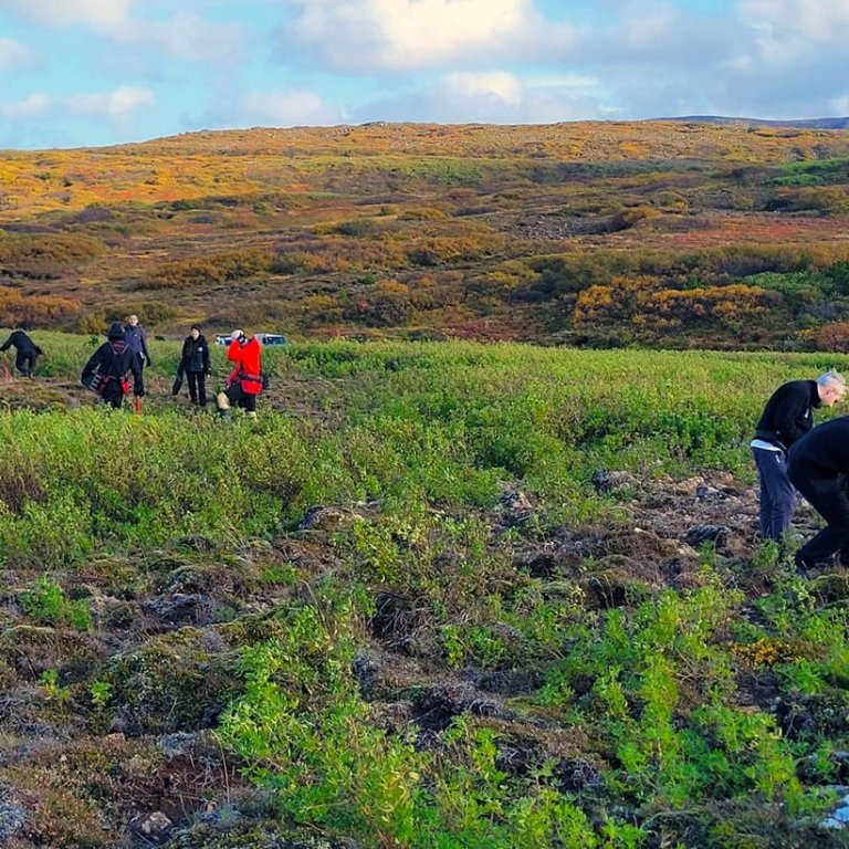 Merkum áfanga var náð á dögunum þegar starfsfólk Hölds gróðursetti tré númer 40.000